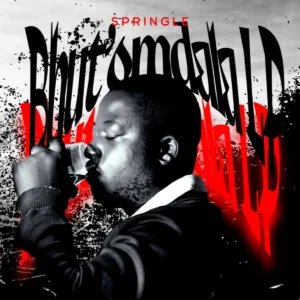 Springle, Pushkin & Bassie - Niyanglinga (feat. T&T MuziQ)
