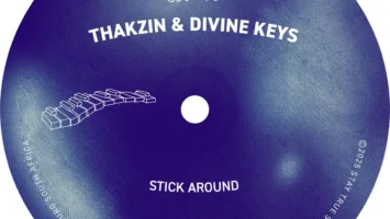 Thakzin & Divine Keys - Stick Around