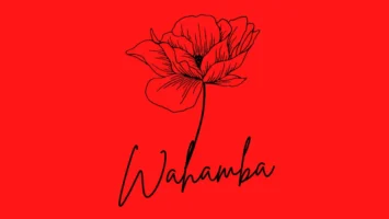 CocoSA & Sipho Magudulela - Wahamba (feat. Ssips & NeleSA)