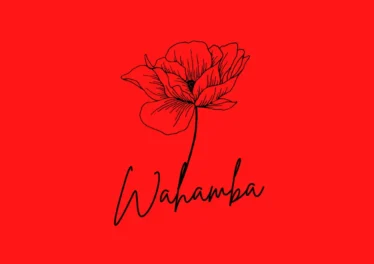 CocoSA & Sipho Magudulela - Wahamba (feat. Ssips & NeleSA)
