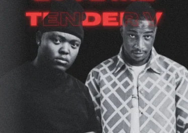 Gubziin & Nandipha808 - Love Me Tender