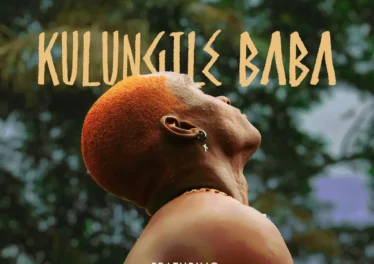 House of Assembly - Kulungile Baba (feat. snothile)
