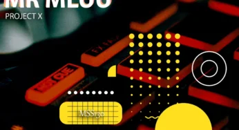 Mr Mluu – Project X EP