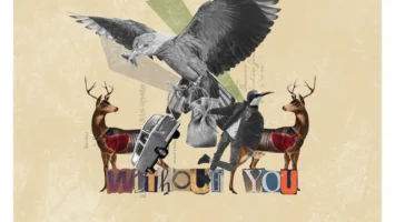 Nuno Estevez - Without You (Remixes)