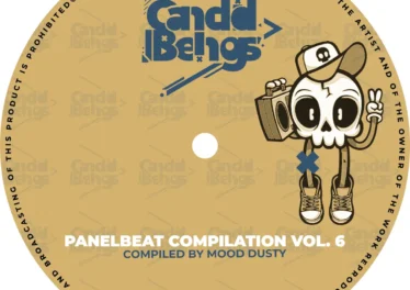 Panel Beat Compilation Vol.6 (Compiled By Mood Dusty)