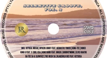 VA – Selektive Groove, Vol. 2