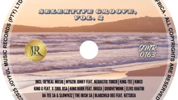 VA - Selektive Groove, Vol. 2