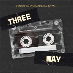 Spin Worx, Dynamic Soul & Tiyani - Three Way EP