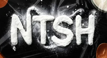 Thuto The Human, DBN Gogo & DJ Stopper – NTSH