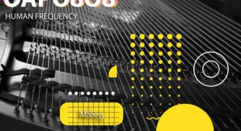 OAPO8O8 – Human Frequency EP