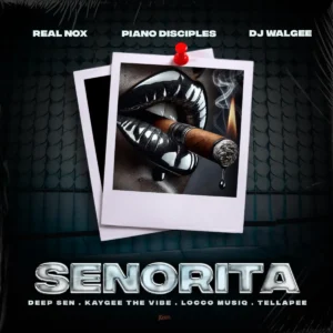 Real Nox, Kaygee The Vibe & Deep Sen - Senorita (feat. Tellapee, DJ Walgee, Piano Disciples & Locco Musiq)