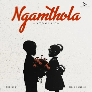 Bee-Bar & Mr Shane SA - Ngamthola (feat. NtoMusica)