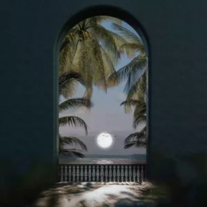 Calvin Fallo - Distorted (Album)