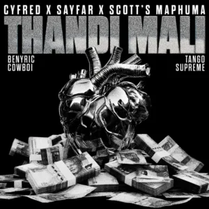 Cyfred, Sayfar & Scotts Maphuma - Thandi Mali (feat. BenyRic, Cowboii & Tango Supreme)