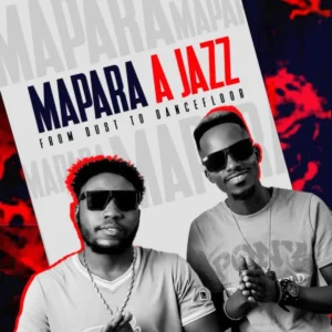 Mapara A Jazz - From Dust To Dance Floor (Album)