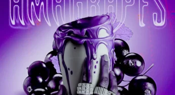 SjavasDaDeejay, LeeMcKrazy & XoliSoulMF – Amagrapes