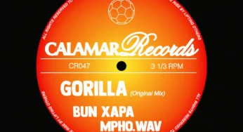 Bun Xapa & Mpho.Wav – Gorilla