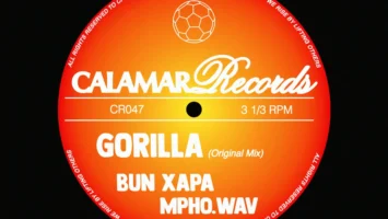 Bun Xapa & Mpho.Wav - Gorilla