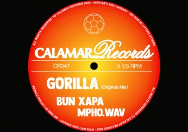 Bun Xapa & Mpho.Wav - Gorilla