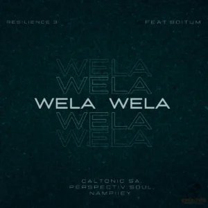 Caltonic SA, Perspectiv Soul & Nampiiey - Wela Wela (feat. BoituM)