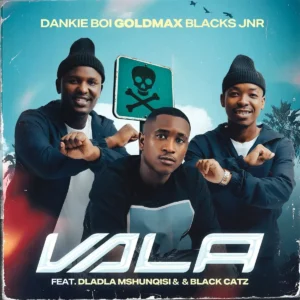 Dankie Boi, GoldMax & Blacks Jnr - Vala (feat. Dladla Mshunqisi & Black Catz)