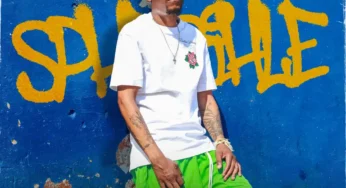 Msaro – Sphesihle (Album)