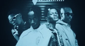 Novatron, Hotfurze & Mellow & Sleazy – Mali (feat. Mpho Spizzy & D’ Braz)