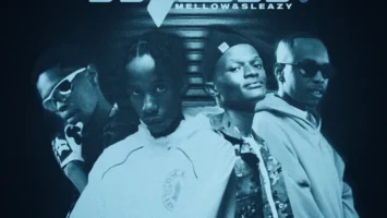 Novatron, Hotfurze & Mellow & Sleazy - Mali (feat. Mpho Spizzy & D' Braz)