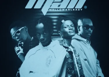 Novatron, Hotfurze & Mellow & Sleazy - Mali (feat. Mpho Spizzy & D' Braz)