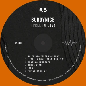 Buddynice - I Fell In Love EP