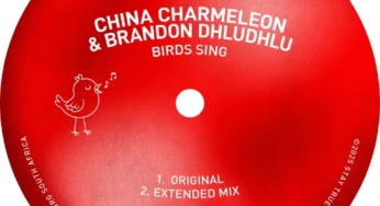 China Charmeleon & Brandon Dhludhlu – Birds Sing (Extended Mix)
