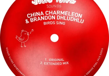 China Charmeleon & Brandon Dhludhlu - Birds Sing (Extended Mix)