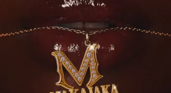 Fake’well & Mellow & Sleazy – Mjakajaka (feat. Marsey & Mpho Spizzy)