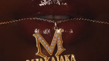 Fake'well & Mellow & Sleazy - Mjakajaka (feat. Marsey & Mpho Spizzy)