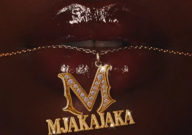 Fake'well & Mellow & Sleazy - Mjakajaka (feat. Marsey & Mpho Spizzy)