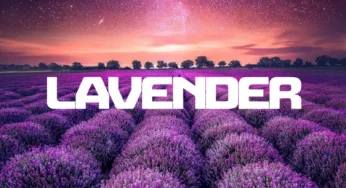 InQfive, BusyExplore & Cyatt RSA – Lavender EP