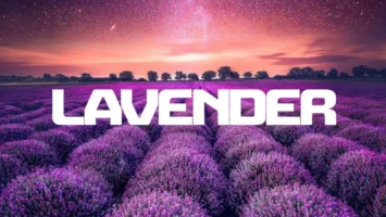 InQfive, BusyExplore & Cyatt RSA - Lavender EP