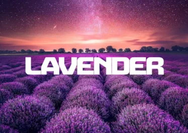 InQfive, BusyExplore & Cyatt RSA - Lavender EP