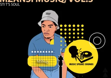 STI T's Soul - Mzansi Musiq, Vol. 3