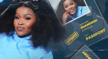 Shandesh & Mvzzle – Passport