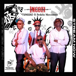 Tumisho - Ingozi (feat. Dedela Movement)