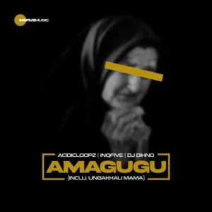 Acidicloopz, InQfive & DJ DIHNO - Amagugu (feat. Salga)