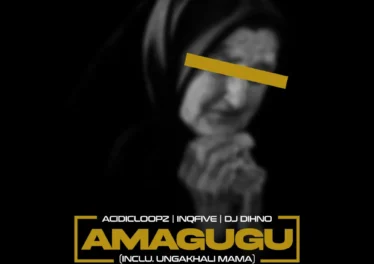 Acidicloopz, InQfive & DJ DIHNO - Amagugu (feat. Salga)