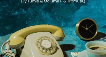 Djy’Tumie, TrpmuziQ & Malume P – It’s Havard