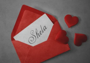 Sam Deep, Nia Pearl & Boohle - Shela (feat. Mano)