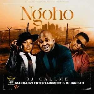 DJ Call Me - Ngoho (feat. Makhadzi Entertainment & Dj Janisto)