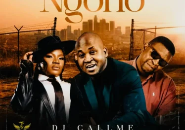 DJ Call Me - Ngoho (feat. Makhadzi Entertainment & Dj Janisto)