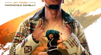 Jay Music & Moonchild Sanelly – Zulu
