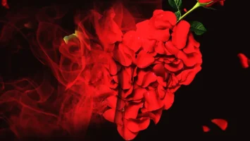 Mashudu - Thee Last Season Of Love EP