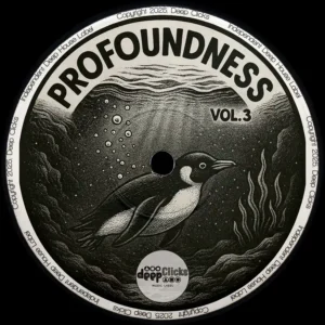 VA - Profoundness, Vol. 3